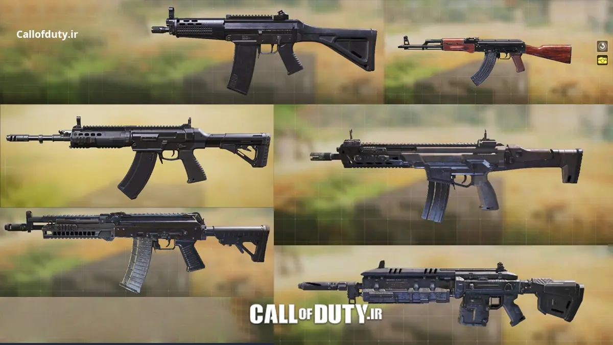 The best assault weapons codm