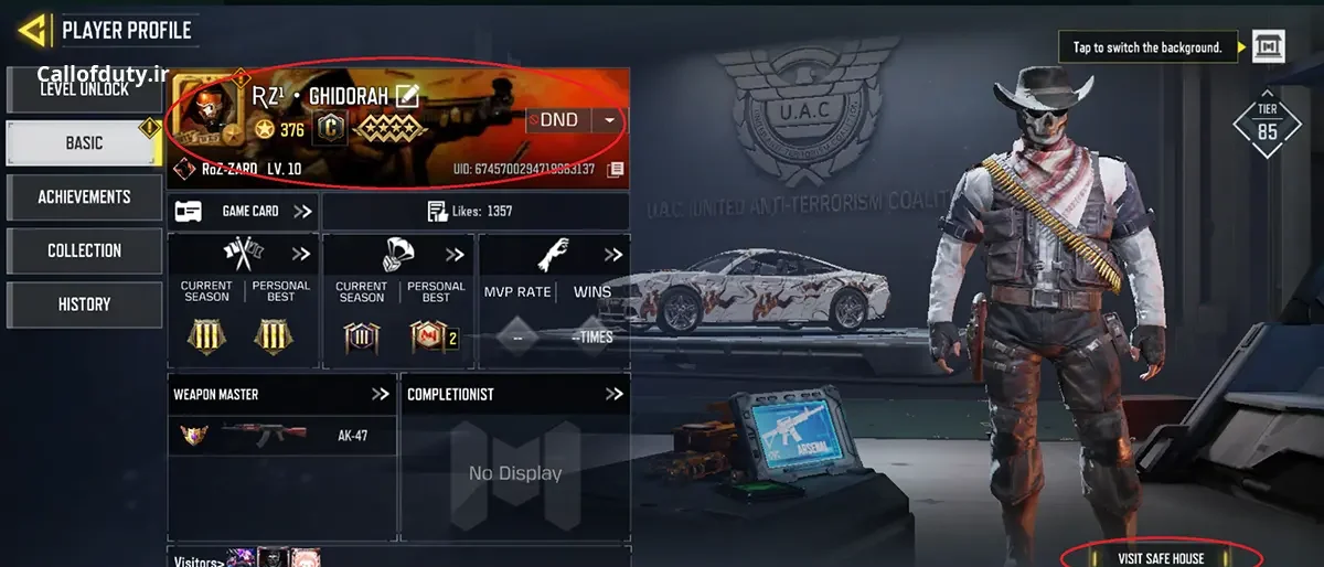 چگونه بفهمیم چه کسانی در اکانت کالاف ما هستند؟